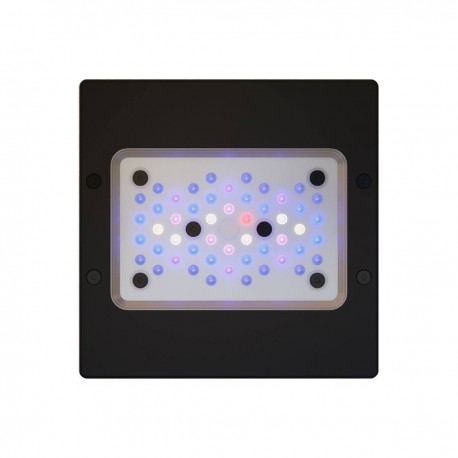 ECOTECH  MARINE  XR15 blue G6