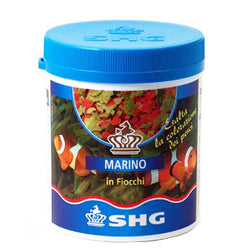 SHG Marino in fiocchi 15g