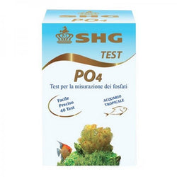 SHG Test po4 dolce
