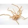 AQPET Zen wood rot radice legno select medium 20-30 cm
IMMAGINE PURAMENTE INDICATIVA: CONTATTARE PER INFO