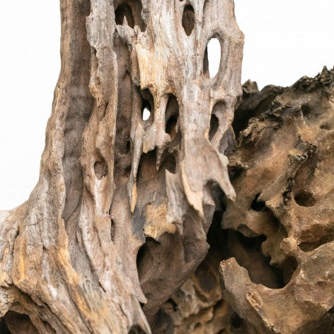 AQPET Zen wood dragon wood xlarge