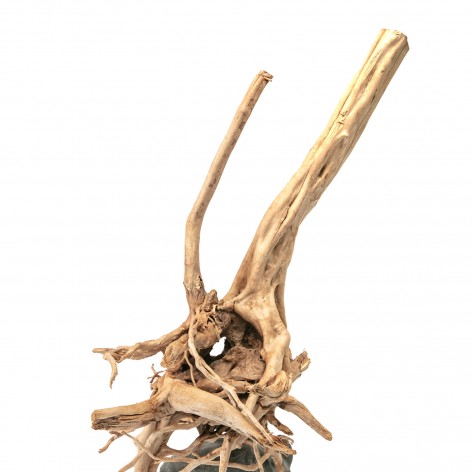 AQPET Zen wood stump medium
