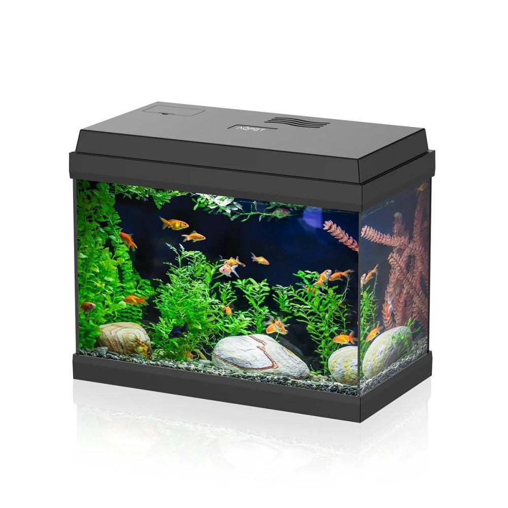 AQPET Simply led 30 nero