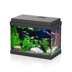 AQPET Simply led 30 nero