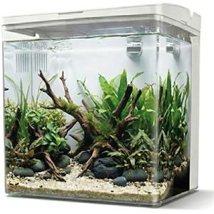 AQPET Acquario neya bianco 20x15x20