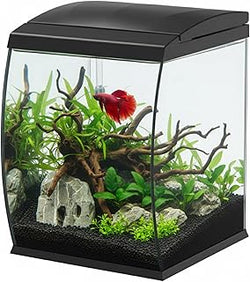 AQPET Acquario curve con vetro panoramico completo filtro,luce e riscaldatore .Nero 30 x 33 x 42 cm