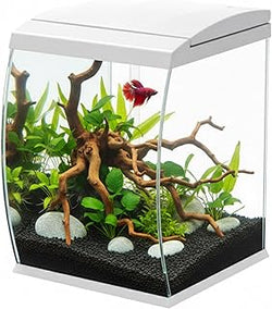 AQPET Acquario Curve con vetro panoramicol,completo filtro, luce e riscaldatore .Bianco 30 x 33 x 42 cm