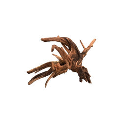 AQPET Tronco drift wood 31-40