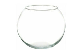 INSA Boccia  ,ampolla, terrario 25 cm