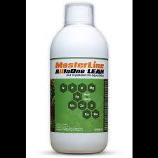 MASTERLINE All in one boost 500 ml